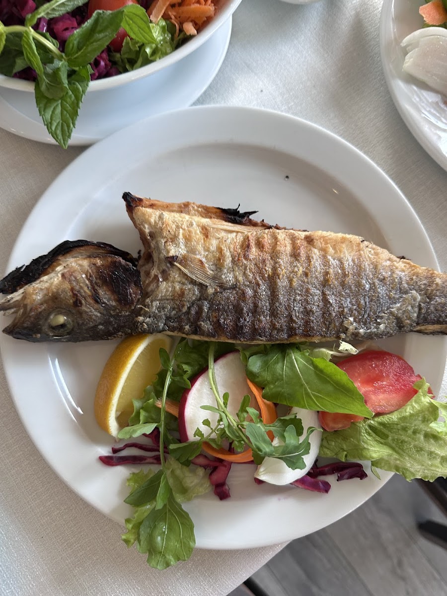 Canli Balik Restaurant Photos 2